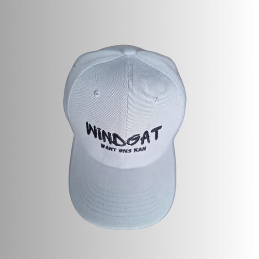 Windgat Panel Cap - Gray